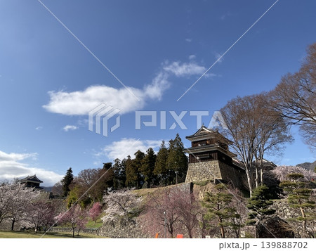 春の城、下からみた風景 139888702