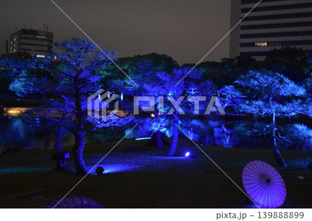 旧芝離宮夜会 旧芝離宮夜会 139888899