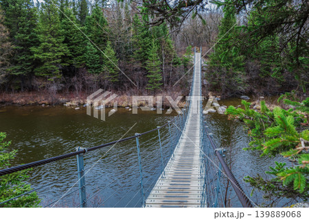 Suspension Bridge In Forest Landscape Suspension Bridge In Forest Landscape 139889068