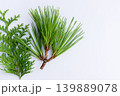 白背景に松とコニファーの葉のクローズアップ 139889078