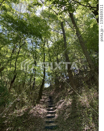 木漏れ日と森の階段が続く日本の自然風景 木漏れ日と森の階段が続く日本の自然風景 139889311
