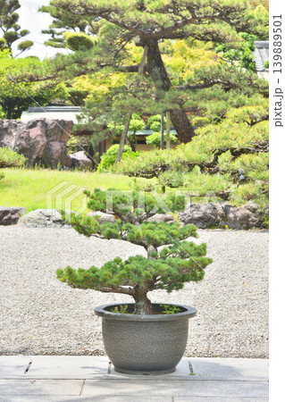 五風荘庭園 五風荘庭園 139889501