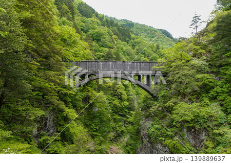 【富山】黒部峡谷トロッコ電車 【富山】黒部峡谷トロッコ電車 139889637