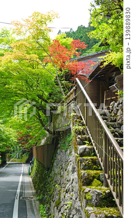 Serene Japanese pathway with vibrant maple trees and stone staircase Serene Japanese pathway with vibrant maple trees and stone staircase 139889830