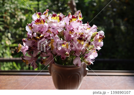 窓辺にアルストロメリアの花を飾る 窓辺にアルストロメリアの花を飾る 139890107