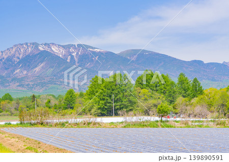 （長野県）野辺山高原　野菜畑　白いマルチシート 139890591