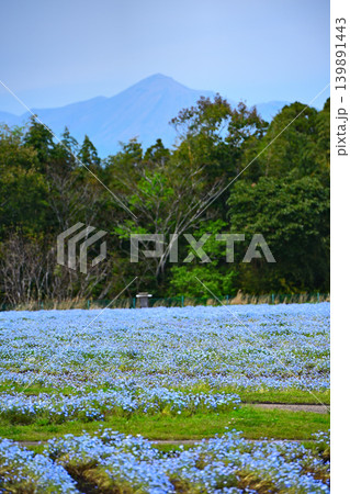 美しい山とネモフィラの自然風景 139891443