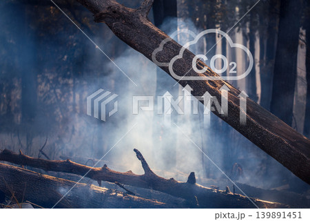 Wildfires release carbon dioxide (CO2) emissions and other greenhouse gases (GHG) that contribute to climate change. Wildfires release carbon dioxide (CO2) emissions and other greenhouse gases (GHG) that contribute to climate change. 139891451