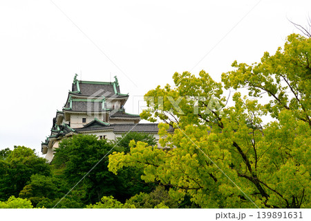 和歌山城 139891631