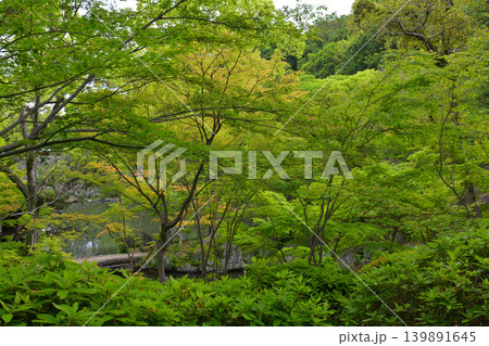 和歌山城・紅葉渓庭園 139891645