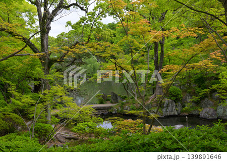 和歌山城・紅葉渓庭園 和歌山城・紅葉渓庭園 139891646