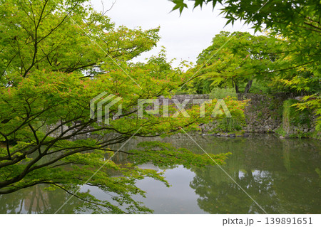和歌山城・紅葉渓庭園 139891651