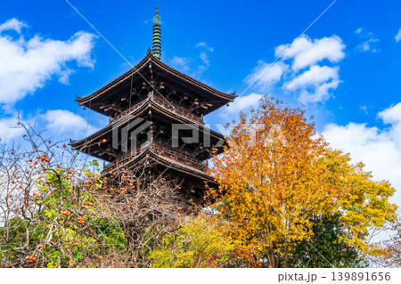 備中国分寺の晩秋　青空と紅葉と五重塔5　岡山県総社市 139891656