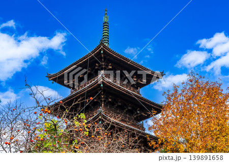 備中国分寺の晩秋　青空と紅葉と五重塔7　岡山県総社市 139891658