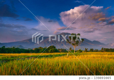 The natural beauty of the Indonesian mountains with beautiful tropical forests at sunrise The natural beauty of the Indonesian mountains with beautiful tropical forests at sunrise 139891665