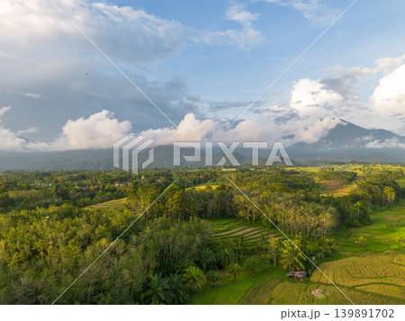 The natural beauty of the Indonesian mountains with beautiful tropical forests at sunrise The natural beauty of the Indonesian mountains with beautiful tropical forests at sunrise 139891702