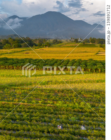 The natural beauty of the Indonesian mountains with beautiful tropical forests at sunrise The natural beauty of the Indonesian mountains with beautiful tropical forests at sunrise 139891712