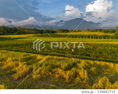 The natural beauty of the Indonesian mountains with beautiful tropical forests at sunrise The natural beauty of the Indonesian mountains with beautiful tropical forests at sunrise 139891714