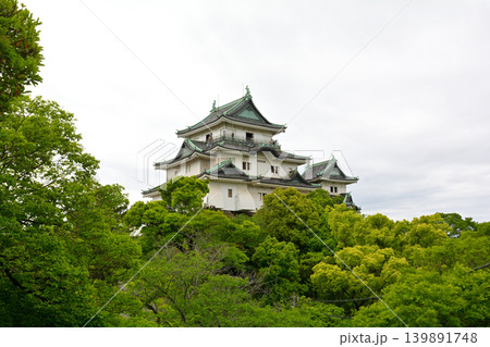 日本100名城・和歌山城 日本100名城・和歌山城 139891748
