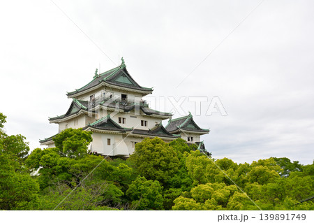 日本100名城・和歌山城 日本100名城・和歌山城 139891749