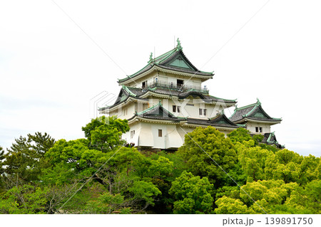 日本100名城・和歌山城 139891750