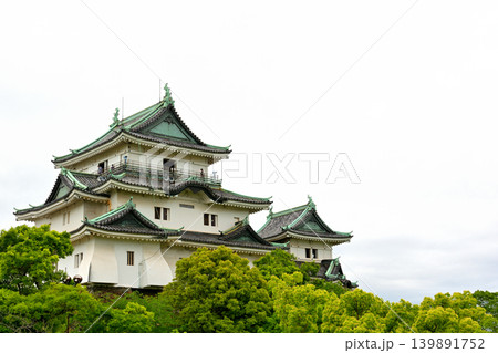 日本100名城・和歌山城 139891752