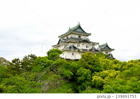 日本100名城・和歌山城 139891753