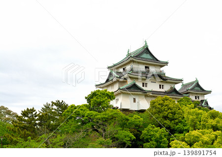 日本100名城・和歌山城 日本100名城・和歌山城 139891754