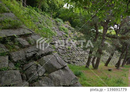 日本100名城・和歌山城 139891779