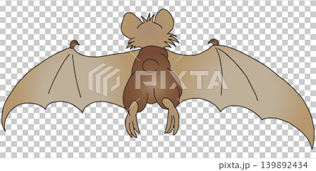 手繪動物插畫☆蝙蝠 手繪動物插畫☆蝙蝠 139892434