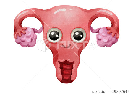 Cute uterus cartoon character smiling happily. Hand drawn watercolor illustration of a healthy female reproductive organ isolated on white background. Cute uterus cartoon character smiling happily. Hand drawn watercolor illustration of a healthy female reproductive organ isolated on white background. 139892645