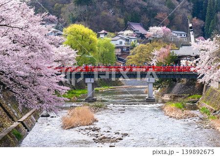 260414中橋桜g008 260414中橋桜g008 139892675