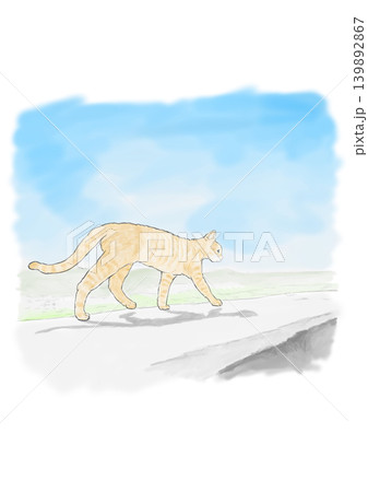 イラスト　防波堤の上を歩くネコ 139892867