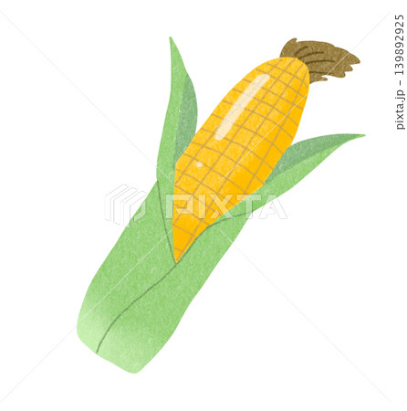 とうもろこしのイラスト とうもろこしのイラスト 139892925