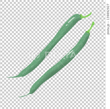 Illustration of green beans Illustration of green beans 139892927