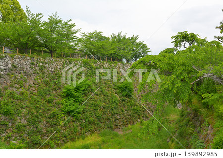 奈良・郡山城 139892985
