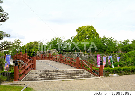 奈良・郡山城 139892986