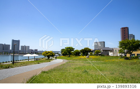 福岡アイランドシティにある照葉の森公園と遊歩道 福岡アイランドシティにある照葉の森公園と遊歩道 139893316