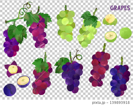 A set of collage-style paper-cut illustrations of grapes, a taste of autumn, perfect as background illustrations for harvest festivals and promotional materials. A set of collage-style paper-cut illustrations of grapes, a taste of autumn, perfect as background illustrations for harvest festivals and promotional materials. 139893918