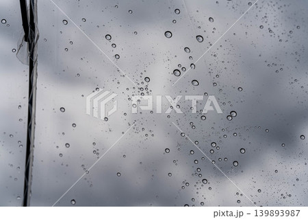 【梅雨素材】ビニール傘に付いた雨粒 139893987