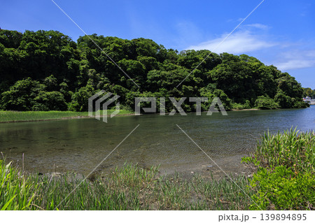 小網代湾 小網代湾 139894895