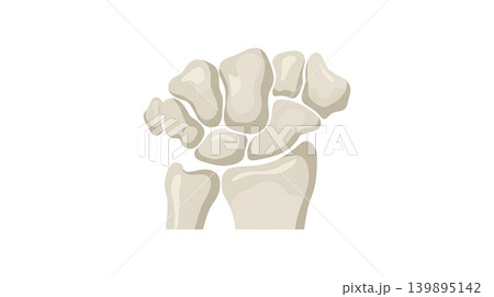 Small Carpal Bones of Human Wrist Joint Small Carpal Bones of Human Wrist Joint 139895142
