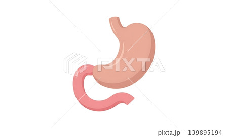 C Shaped Pink Human Duodenum Intestinal Anatomy Icon C Shaped Pink Human Duodenum Intestinal Anatomy Icon 139895194