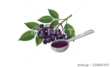 Dark Purple Elderberry Cluster and Silver Spoon With Syrup 139895347
