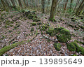 甲斐国　本栖城　武田信玄の最前線山城 139895649
