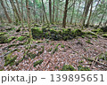 甲斐国　本栖城　武田信玄の最前線山城 139895651