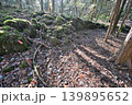 甲斐国　本栖城　武田信玄の最前線山城 139895652