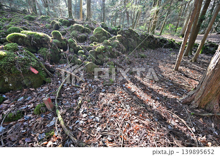 甲斐国 本栖城 武田信玄の最前線山城 甲斐国 本栖城 武田信玄の最前線山城 139895652