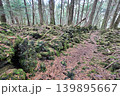甲斐国　本栖城　武田信玄の最前線山城 139895667