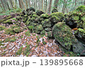 甲斐国　本栖城　武田信玄の最前線山城 139895668